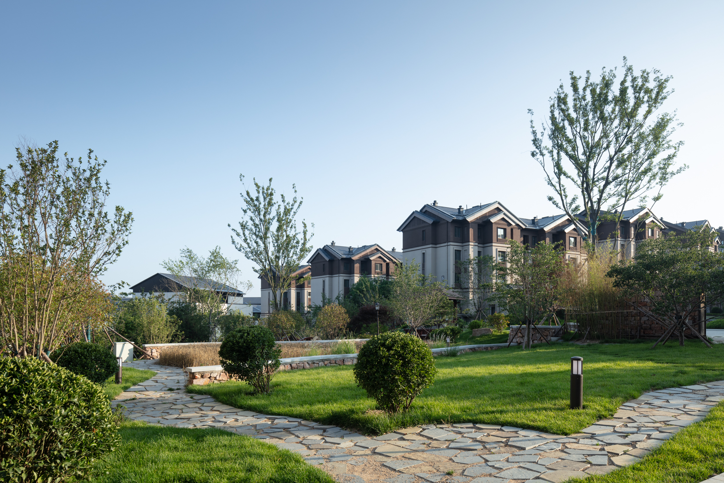 _MSR1423.jpg _MSR1423.jpg